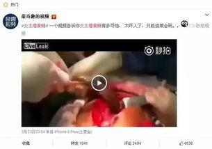 黄鳝女主播什么平台,揭秘网络直播平台的道德困境